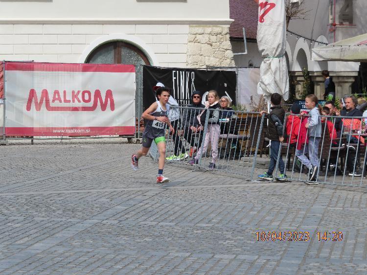 01681239644IMG_2531.JPG-nm-tek.si