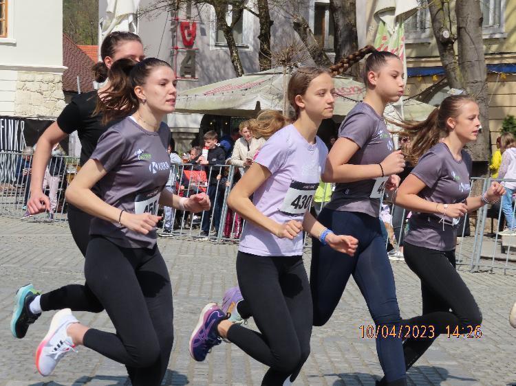 01681239875IMG_2553.JPG-nm-tek.si