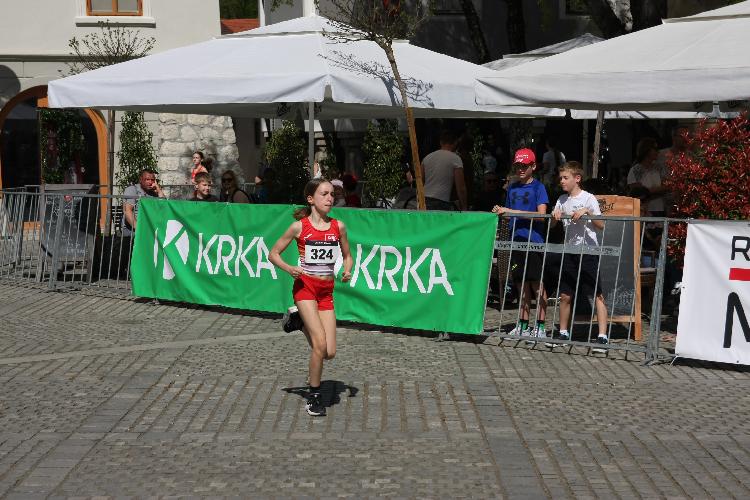 01712843901IMG_3144.JPG-nm-tek.si