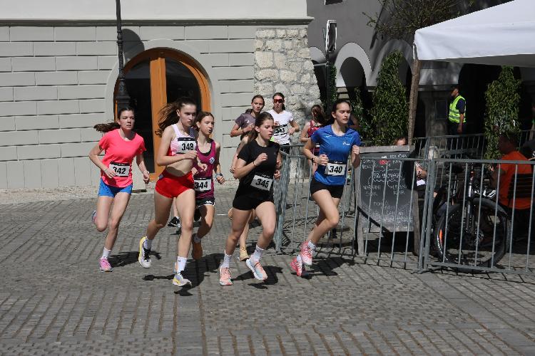 01712844095IMG_3166.JPG-nm-tek.si