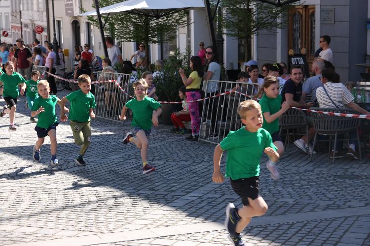 01712848031IMG_3264.JPG-nm-tek.si