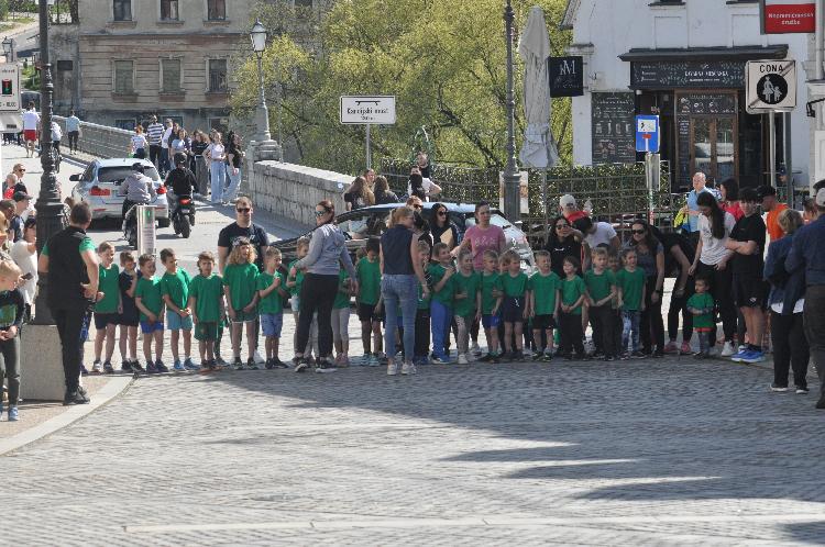 01744376533DSC_6019.JPG-nm-tek.si