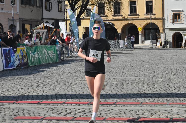 01744376647DSC_6056.JPG-nm-tek.si