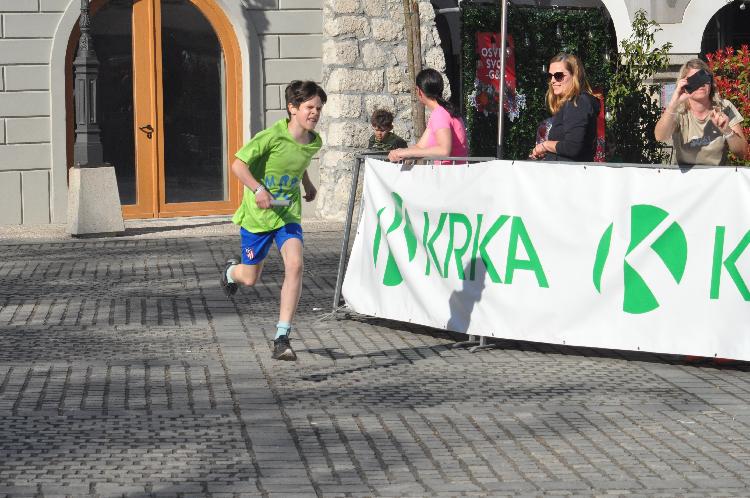 01744377535DSC_6295.JPG-nm-tek.si