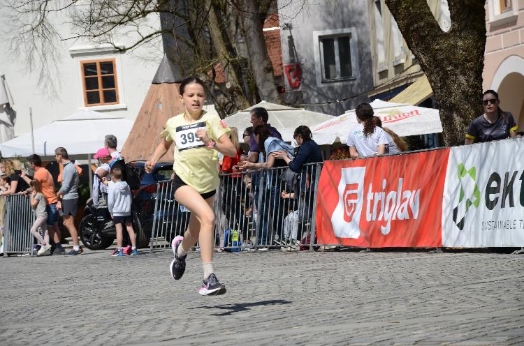 01744437242DSC_9027.JPG-nm-tek.si