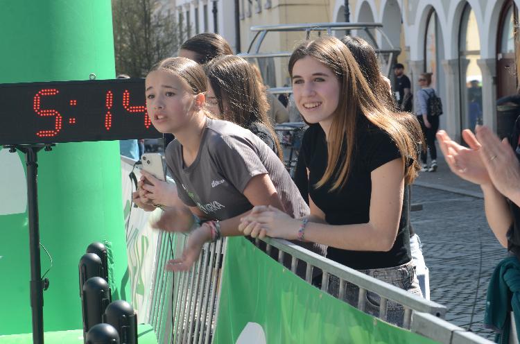 01744446693DSC_9190.JPG-nm-tek.si