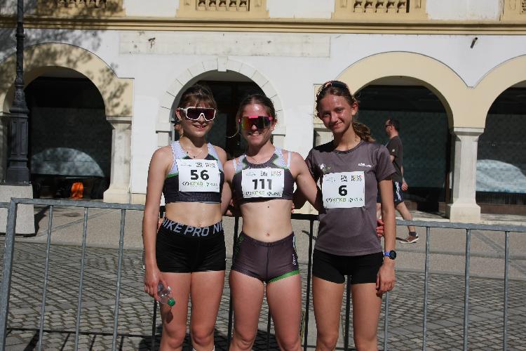 101712849009IMG_3384.JPG-nm-tek.si