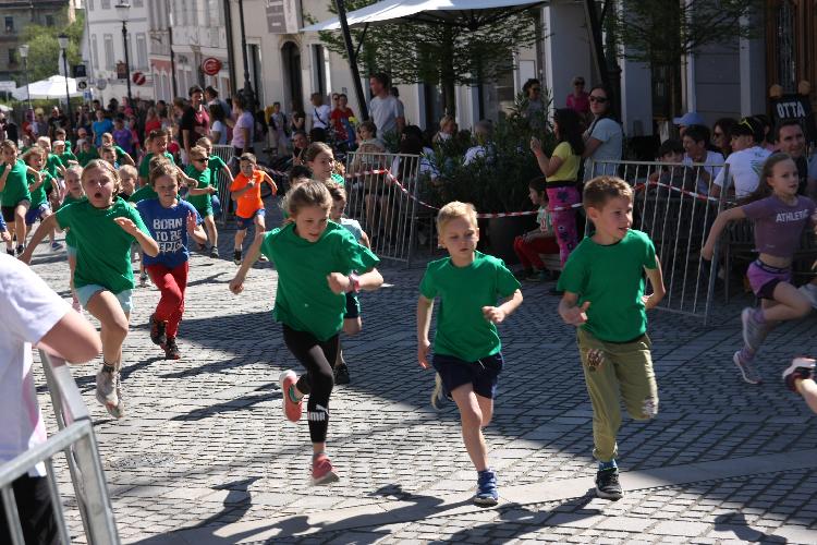 11712848031IMG_3265.JPG-nm-tek.si