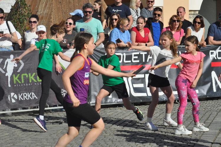 11744377245DSC_6236.JPG-nm-tek.si