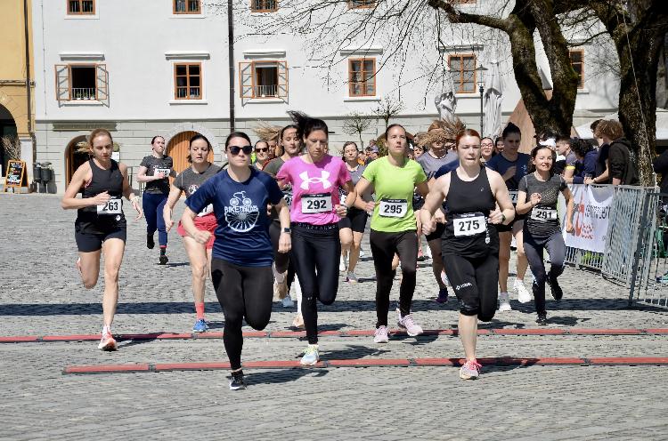 11744383648DSC_8731.JPG-nm-tek.si