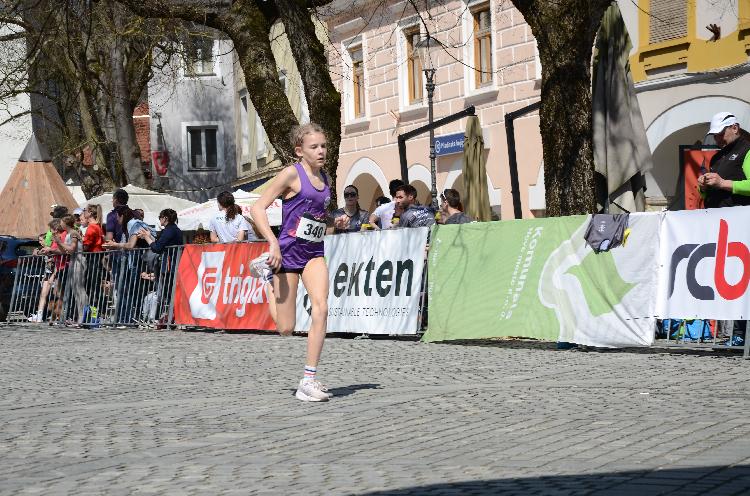 11744437243DSC_9030.JPG-nm-tek.si