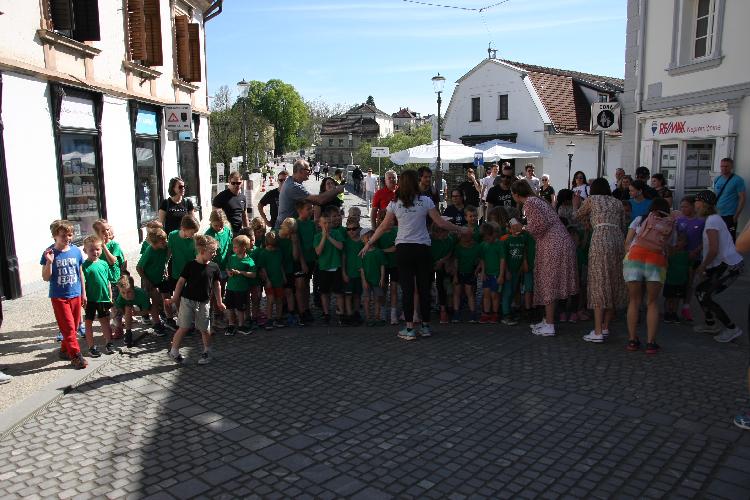 21712847917IMG_3253.JPG-nm-tek.si