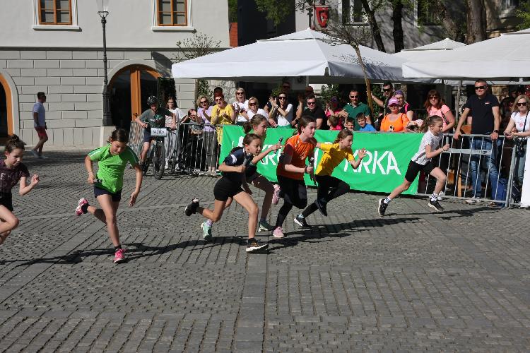 31712849069IMG_3388.JPG-nm-tek.si