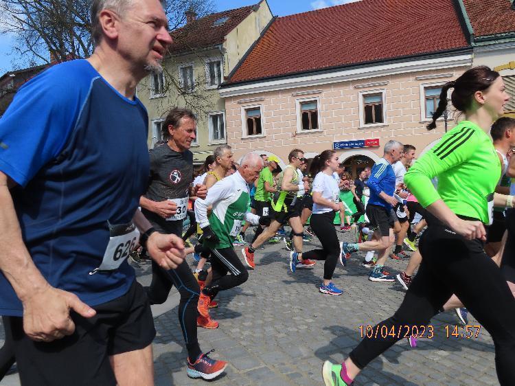 41681233826IMG_2665.JPG-nm-tek.si