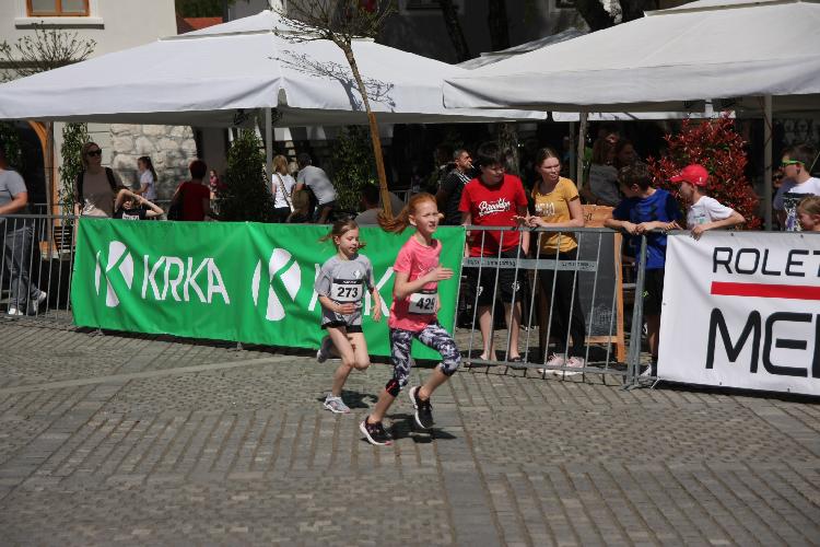 41712843345IMG_3108.JPG-nm-tek.si