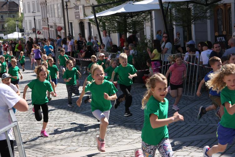 41712848032IMG_3268.JPG-nm-tek.si