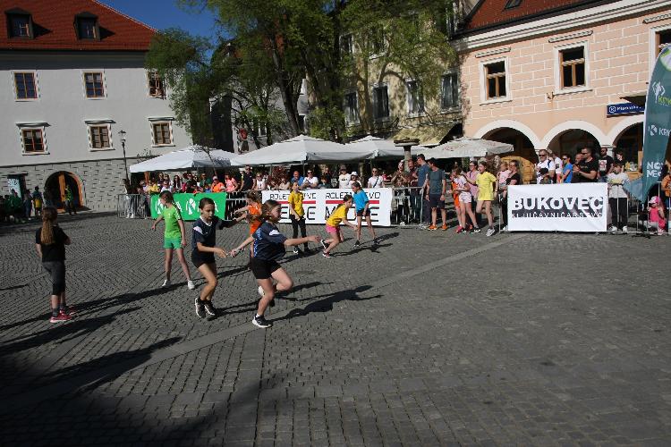 41712849069IMG_3389.JPG-nm-tek.si