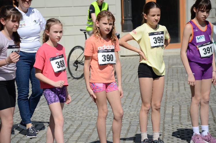 41744435486DSC_9010.JPG-nm-tek.si