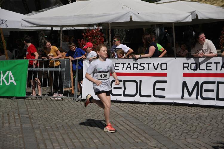 51712843345IMG_3109.JPG-nm-tek.si