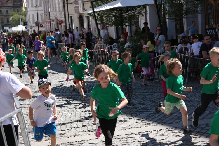 51712848032IMG_3269.JPG-nm-tek.si