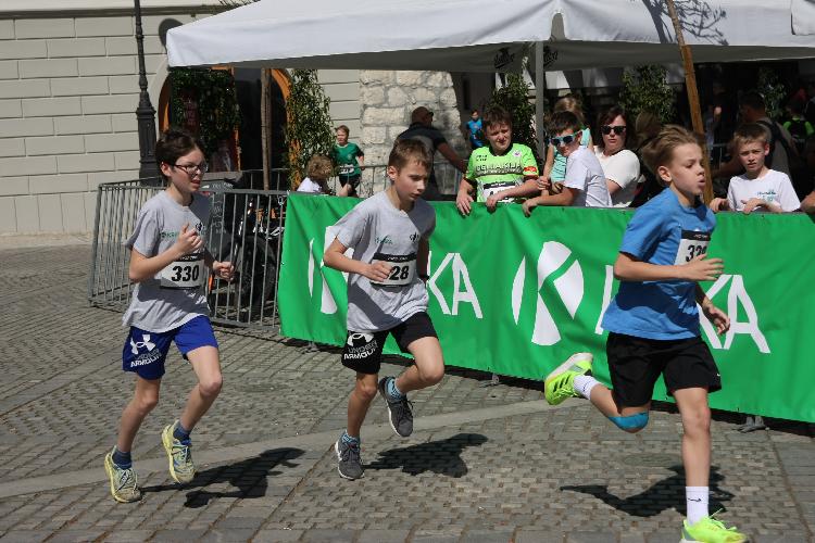 61712844007IMG_3160.JPG-nm-tek.si