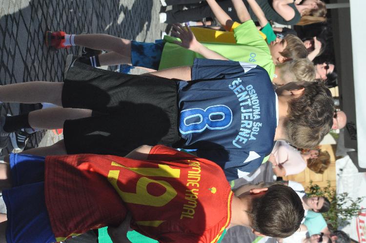 61744377372DSC_6287.JPG-nm-tek.si