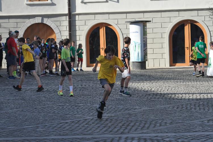 61744378389DSC_6426.JPG-nm-tek.si