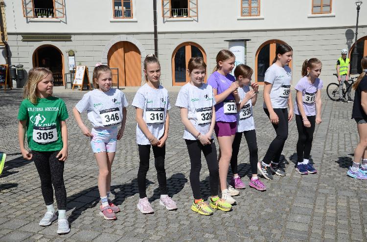 71744386704DSC_8990.JPG-nm-tek.si