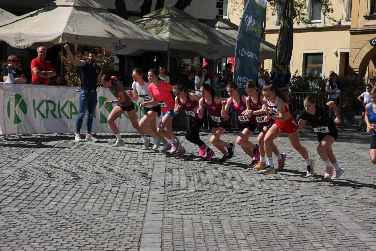 91712844008IMG_3163.JPG-nm-tek.si