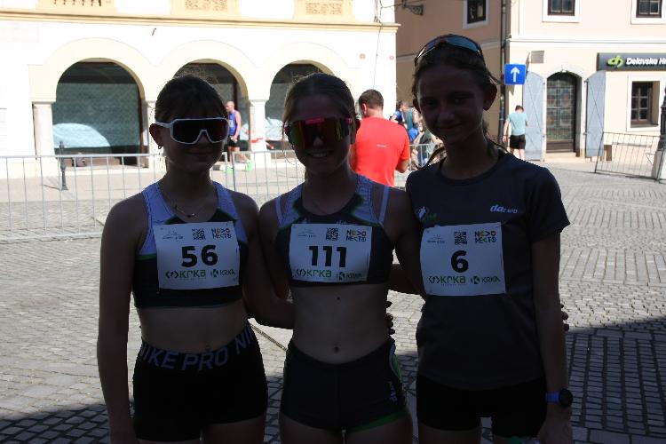 91712849009IMG_3383.JPG-nm-tek.si