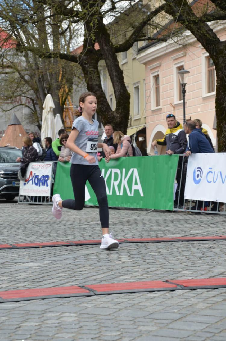 DSC_1702.jpg-nm-tek.si