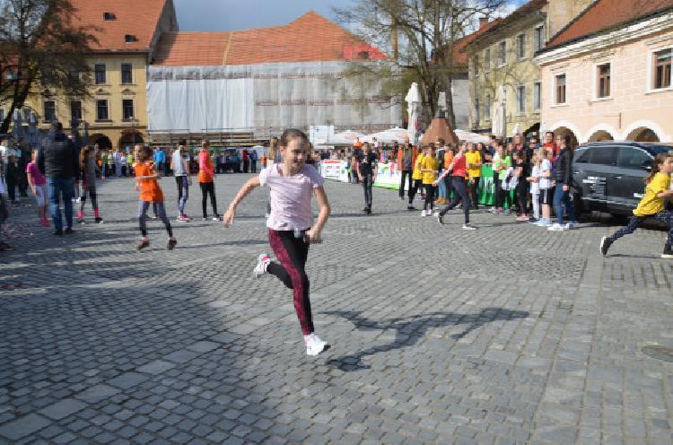 DSC_2403.jpg-nm-tek.si