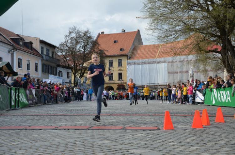 DSC_2463.jpg-nm-tek.si